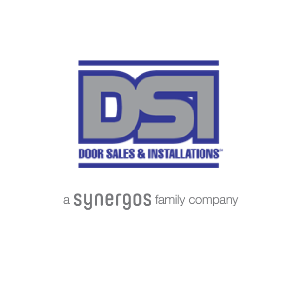 Dsi Logo (1)